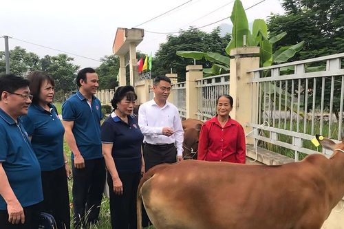 Cánh cửa thoát nghèo cho người yếu thế ở Yên Nguyên