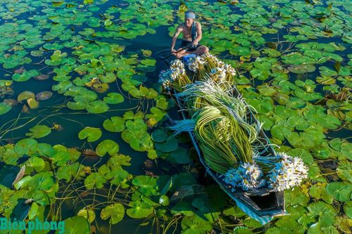 Thích ứng với biến đổi khí hậu để phát triển bền vững