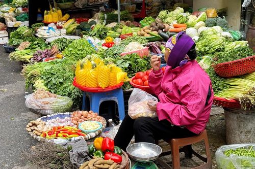 Rau tăng giá, người Hà Nội tự làm giá đỗ, rau mầm, thiết kế bữa ăn '3 món còn 2'