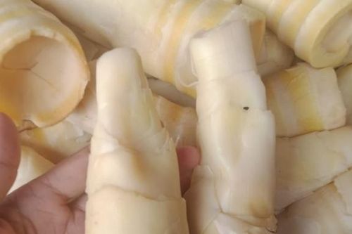 3 nhóm người không nên ăn măng