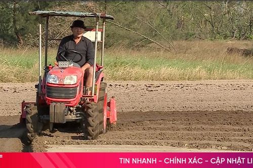 Hối hả xuống đồng, không để 'đứt gãy' sản xuất vụ đông