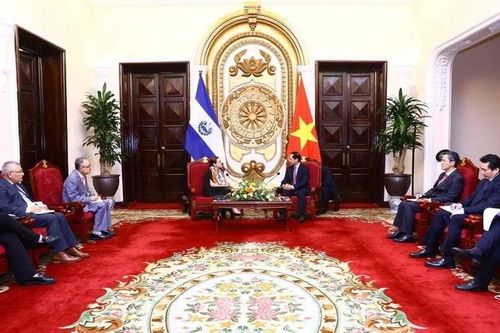 Tăng cường quan hệ hữu nghị truyền thống Việt Nam-El Salvador