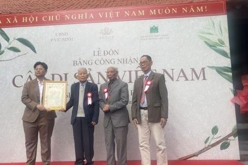 Công nhận 12 cây di sản Việt Nam