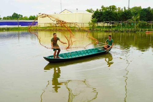 Nhịp sống đời thường của người lính Tiểu đoàn 207