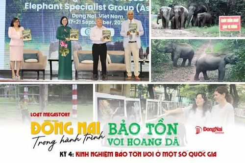 [Loạt Megastory] Đồng Nai trong hành trình bảo tồn voi hoang dã (Kỳ 4)