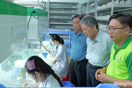Phó Chủ tịch Quốc hội Lê Minh Hoan thăm Hợp tác xã nông nghiệp công nghệ cao Kim Phát