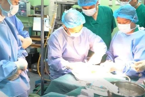 Ghép gan từ người cho chết não, cứu sống bệnh nhi 3 tuổi suy gan giai đoạn cuối