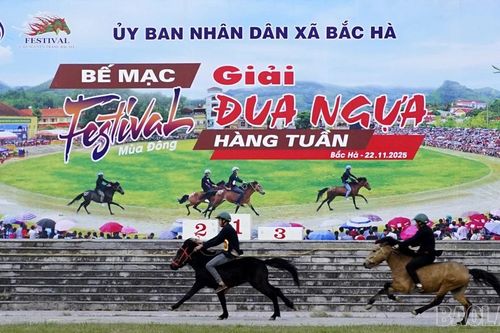Chung kết Giải đua ngựa hàng tuần Bắc Hà