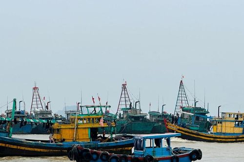 Ngư dân 'nằm bờ' kỳ vọng với chính sách an sinh