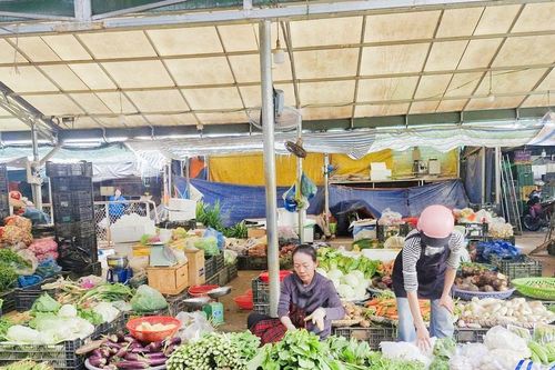 Lâm Đồng nỗ lực đảm bảo nguồn cung rau củ sau mưa lũ
