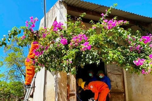 Điện lực Đam Rông nâng chất lượng phục vụ, giữ vững an toàn lưới điện vùng sâu