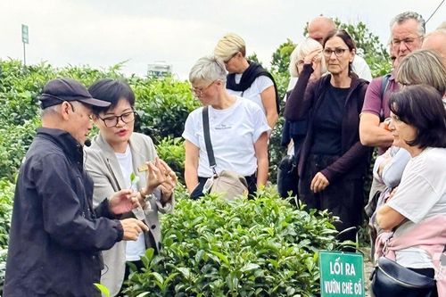 'Chạm' vào vị trà nguyên bản