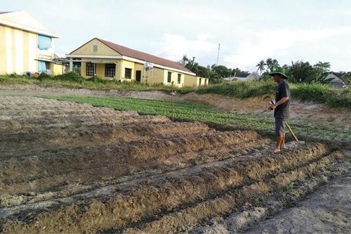 Vinh Lộc chuyển hướng phát triển nông nghiệp sạch