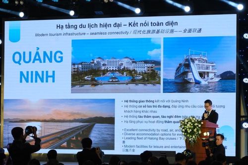Tái định vị hoạt động lữ hành trong bối cảnh mới