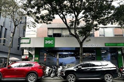 Chào bán thành công 35 triệu cổ phiếu, DSC nâng vốn lên 2.750 tỷ đồng