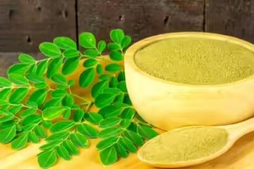 Tác dụng của cây chùm ngây cho sức khỏe não bộ vào mùa đông