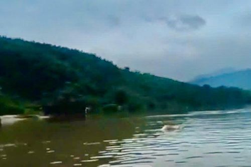 Tìm thấy thi thể nghi là tài xế xe đầu kéo bị nước lũ cuốn trôi ở Quảng Trị