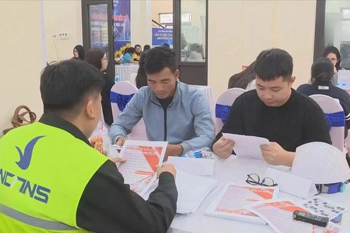 Cơ hội việc làm cho lao động sau sắp xếp bộ máy