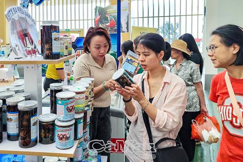 Cà Mau bứt phá tại Hội chợ Mùa thu 2025 với 'Hương rừng - Vị biển'