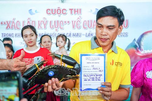Cuộc thi 'Xác lập kỷ lục' về cua Cà Mau đã tìm được quán quân