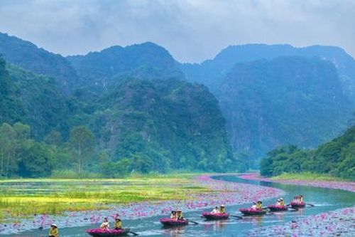 Khởi động chương trình 'Sắc hồng Tam Cốc 2025 - Bản tình ca mùa thu'