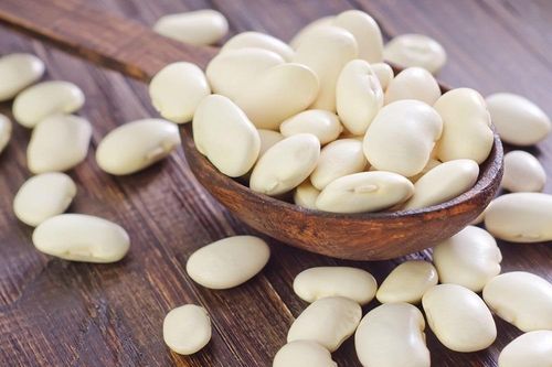 Lợi ích của đậu trắng đối với sức khỏe