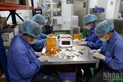 Người nâng tầm hạt ca cao Việt