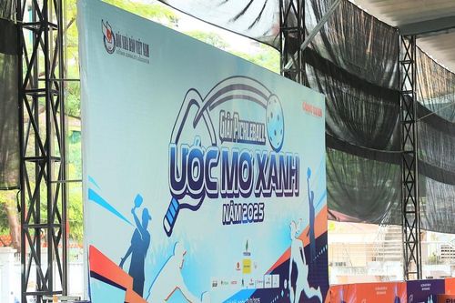 Giải Pickleball 'Ước Mơ Xanh' 2025 khai mạc vào sáng nay 23/11