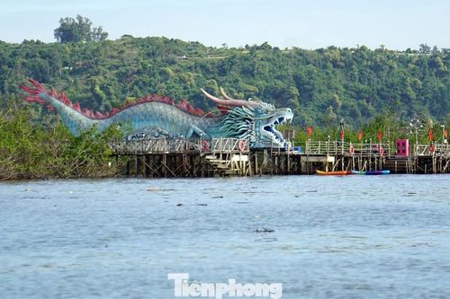Du khách thích thú trải nghiệm rừng ngập mặn ở Đồ Sơn