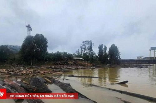 'Của trời cho' từ rừng trôi về sau lũ gây nguy cơ mất an toàn hồ thủy điện