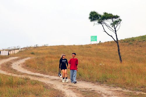'Đà Lạt thu nhỏ' ở Quảng Ninh vào mùa đẹp nhất năm, cỏ cháy vàng rực