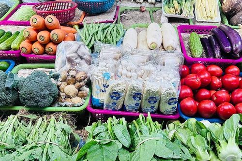 Giá rau xanh có loại 180.000 đồng/kg, tôm hùm chỉ còn 200.000 đồng/kg
