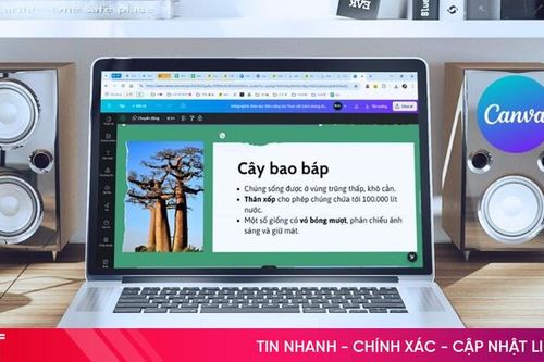 Hướng dẫn chỉnh sửa file PDF trong Canva nhanh chóng, hiệu quả