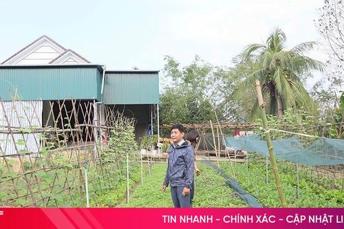 Sức sống mới ở vùng lũ Đức Quang