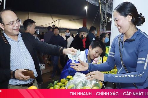 Đặc sản cam Hà Tĩnh 'đắt hàng' tại hội chợ lớn vùng Bắc Trung Bộ