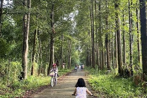 Đến với miền thẳm xanh