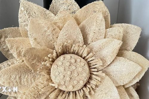 Khởi nghiệp xanh và hành trình đưa xơ mướp Việt 'đi du lịch' khắp thế giới
