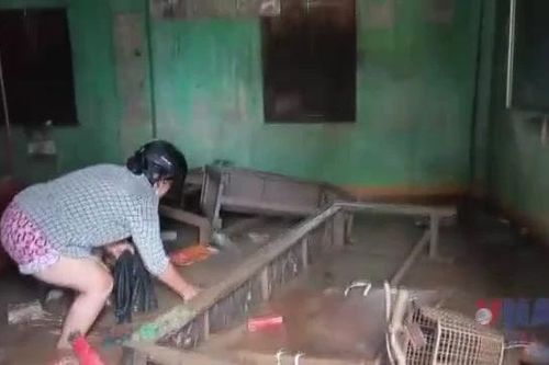 Đắk Lắk: Phường Đông Hòa thiệt hại nặng nề do mưa lũ