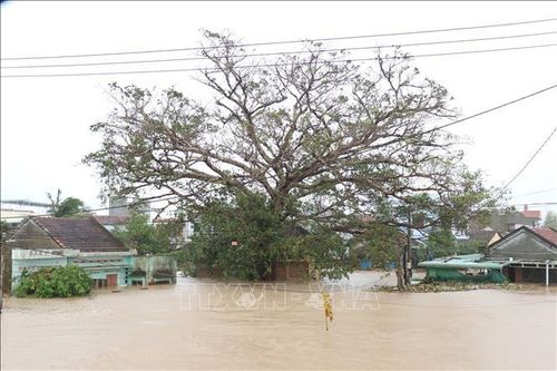 Mưa lũ, sạt lở đất ở miền Trung gây nhiều thiệt hại về người và tài sản