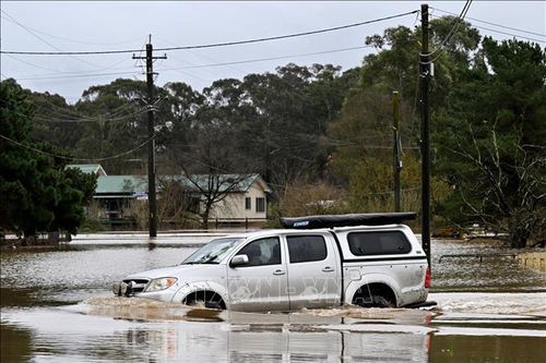 Australia: Khoảng 19.000 người bị mất điện do bão Fina
