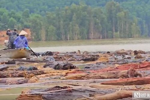 'Mót' củi giữa lòng hồ thủy điện sau lũ