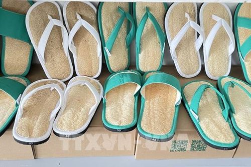 Hành trình xơ mướp Việt 'du lịch' thế giới