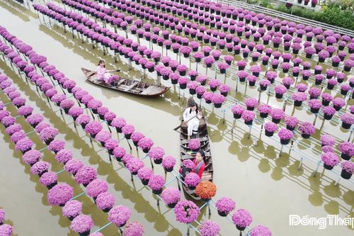 Bài 4: Nâng tầm thương hiệu hoa kiểng