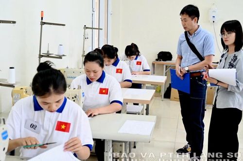 Hỗ trợ lao động đi làm việc tại nước ngoài theo hợp đồng: Mở ra 'cơ hội vàng' giúp cải thiện kinh tế