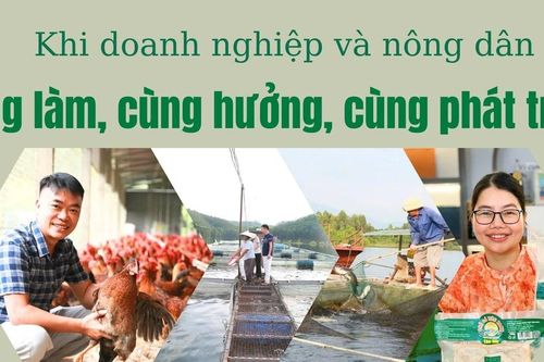 Khi doanh nghiệp và nông dân cùng làm, cùng hưởng, cùng phát triển