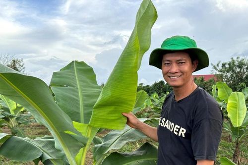 Lợi kép từ nông nghiệp 2 trong 1 ở xã vùng sâu Bảo Lâm 1