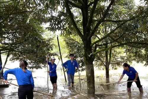 Tuổi trẻ Lâm Đồng đồng loạt ra quân hưởng ứng Ngày Chủ nhật xanh toàn quốc lần thứ VIII