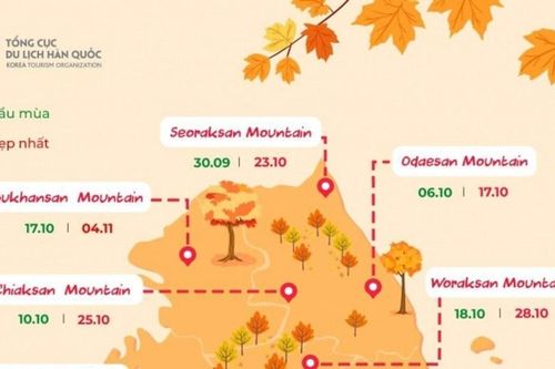Hàn Quốc mùa thu: Cẩm nang săn lá vàng tại các điểm đến nổi bật