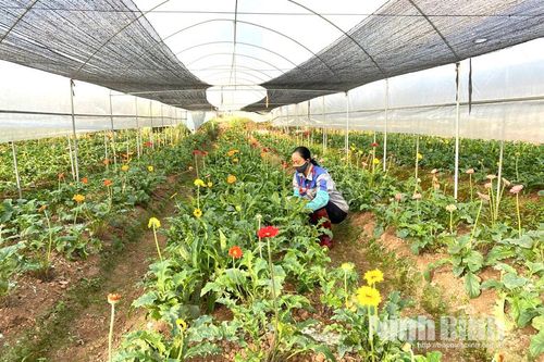 Nông nghiệp ứng dụng công nghệ cao - Hướng đi tất yếu