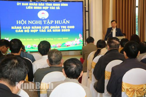 Tập huấn nâng cao năng lực quản trị cho cán bộ HTX năm 2025